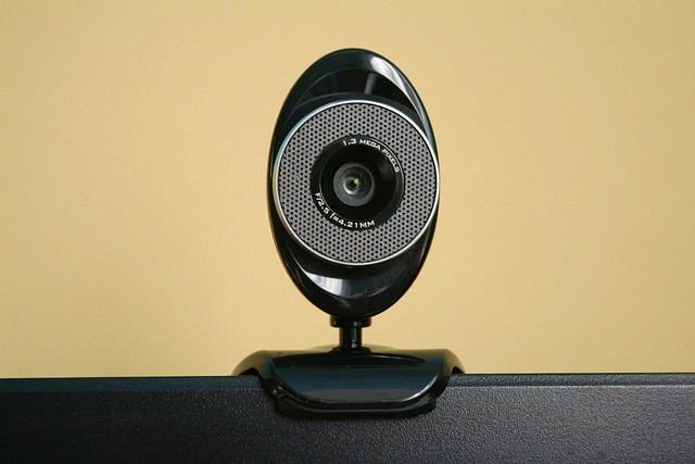 Cámara web Logitech Serie 2
